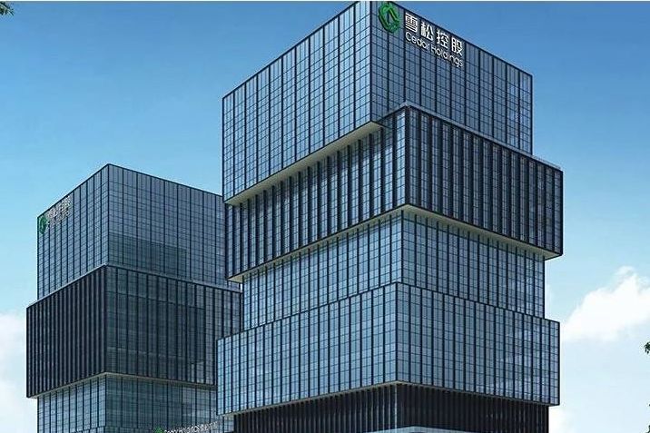 物業收購傳言中雪松控股50億廣州黃埔購地