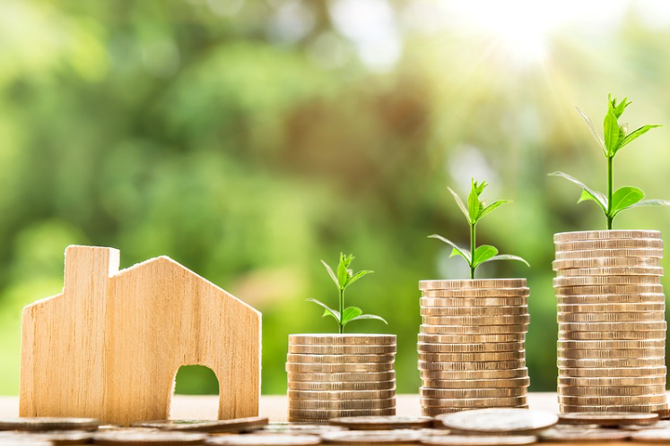 “安海新”：崩塌中的信仰